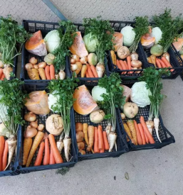 Prodaja zelenjave slovenija