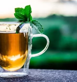 Proizvodnja in prodaja konopljinega caja notranjska primorska