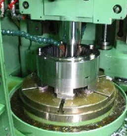 Notranji zobniki slovenija