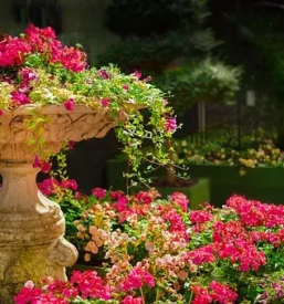 Projektiranje vrtov stajerska