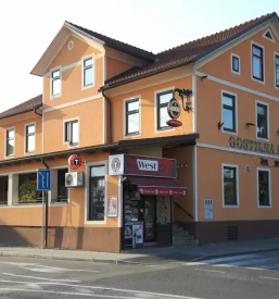 Prostor za praznovanje z družbo v Medvodah