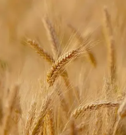 Prostor za zakljucene druzbe idrija