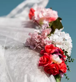 Praznovanja Dolenjska