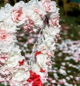 Organizacija praznovanja Dolenjska