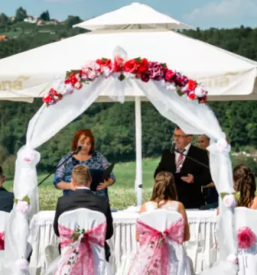 Prostor za zaključene družbe Osrednja Slovenija