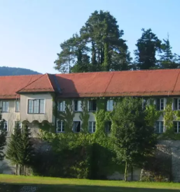 Prostor za zakljucene druzbe za vse priloznosti savinjska