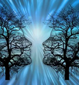 Psihodinamika poslovnih odnosov v podjetjih slovenija