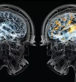 Psihoterapija osrednja slovenija