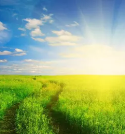 Rabljena kmetijska mehanizacija kranj