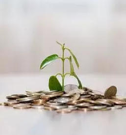 Racunovodske storitve koroska