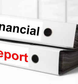 Racunovodski in knjigovodski servis savinjska