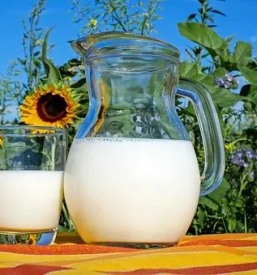 Raw milk slovenia
