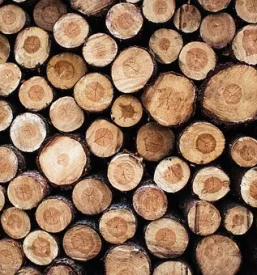 Razrez lesa gorenjska