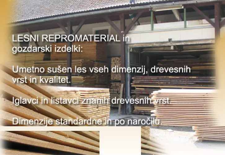 Razrez lesa Škofja Loka