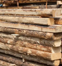 Razrez lesa slovenija