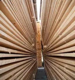 Razrez lesa slovenija