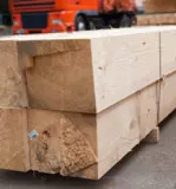 Razrez lesa slovenija