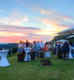 Rdeca vina stajerska