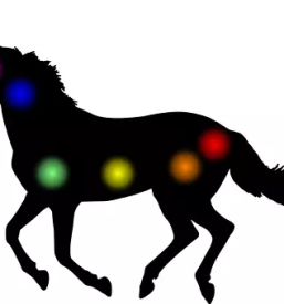 Reiki terapija na daljavo