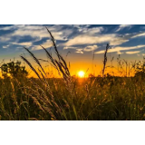 Alojz Brdnik - nosilec d.d.k.