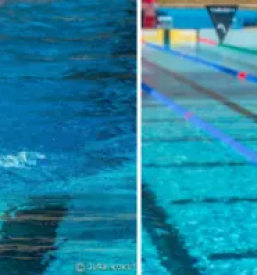 Rekreativno plavanje koroska