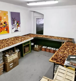 Repromaterial saleska dolina