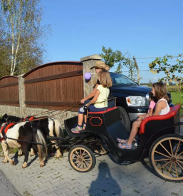 Rojstnodnevne zabave za otroke ljubljana radomlje