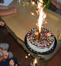 Rojstnodnevne zabave za otroke ljubljana radomlje