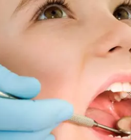 Samoplacniski zobozdravnik crnomelj