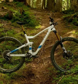 Dobra Scott kolesa Štajerska