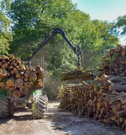Secnja in spravilo lesa osrednja slovenija