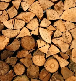 Secnja spravilo in prevoz lesa po sloveniji