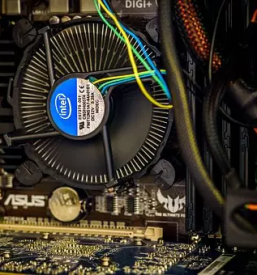 Servis gorilcev novo mesto