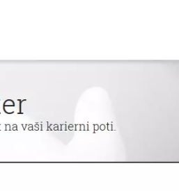 Sistemski integrator slovenija