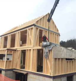 Skeletna hisa ljubljana