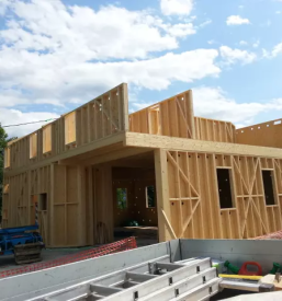 Skeletna hisa ljubljana