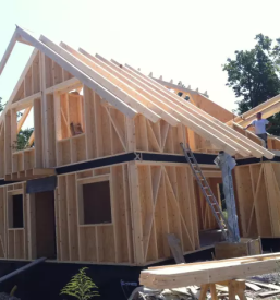 Skeletna hisa ljubljana