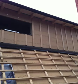 Skeletna hisa ljubljana