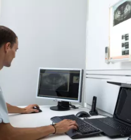 Slikanje zob nova gorica