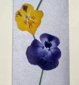 Slikarska dela dolenjska