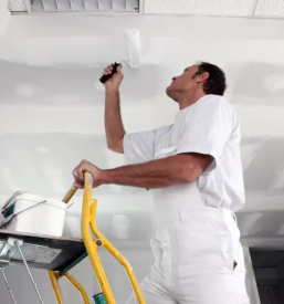 Slikopleskarska dela trbovlje