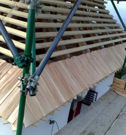 Smrekove skodle slovenija