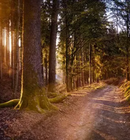 Sobe in apartmaji ajdovscina