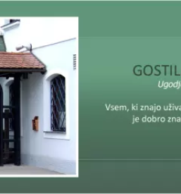 Sobe v okolici ljubljane