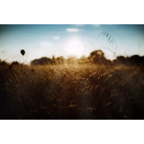 Bernarda Arko - turistična kmetija Boltetni