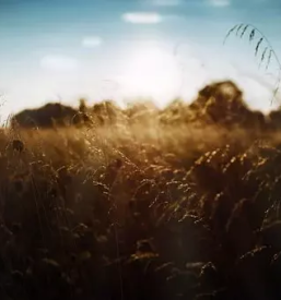 Sobe z zajtrkom ribnica