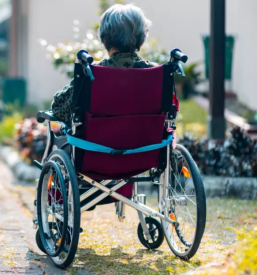 Socialni servis starejsih in invalidov podravje