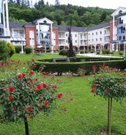 Socialno varstveni zavod posavje