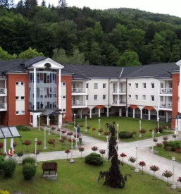 Socialno varstveni zavod posavje