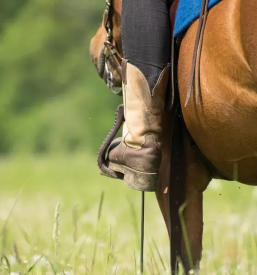 Sola jahanja rogaska slatina